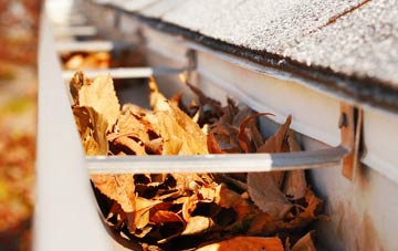 Woodale gutter cleaning companies
