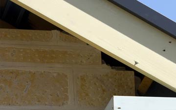 soffit repair Woodale