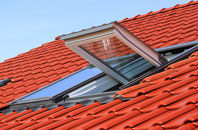 Woodale roof window